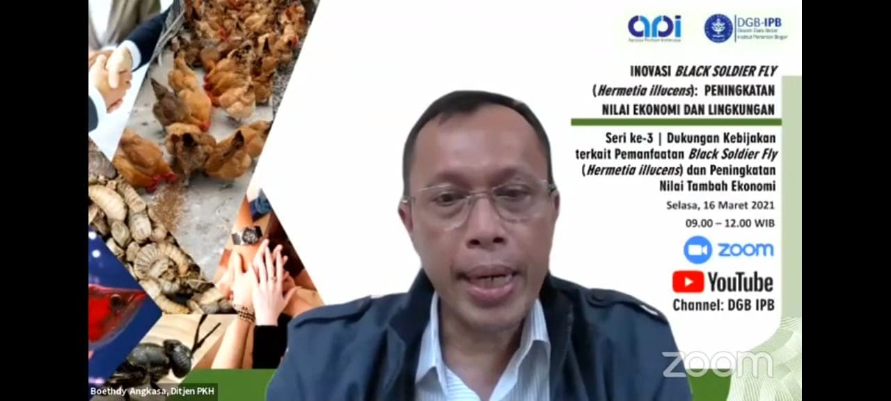 Maggot Potensial sebagai Alternatif Pangan dan Pakan