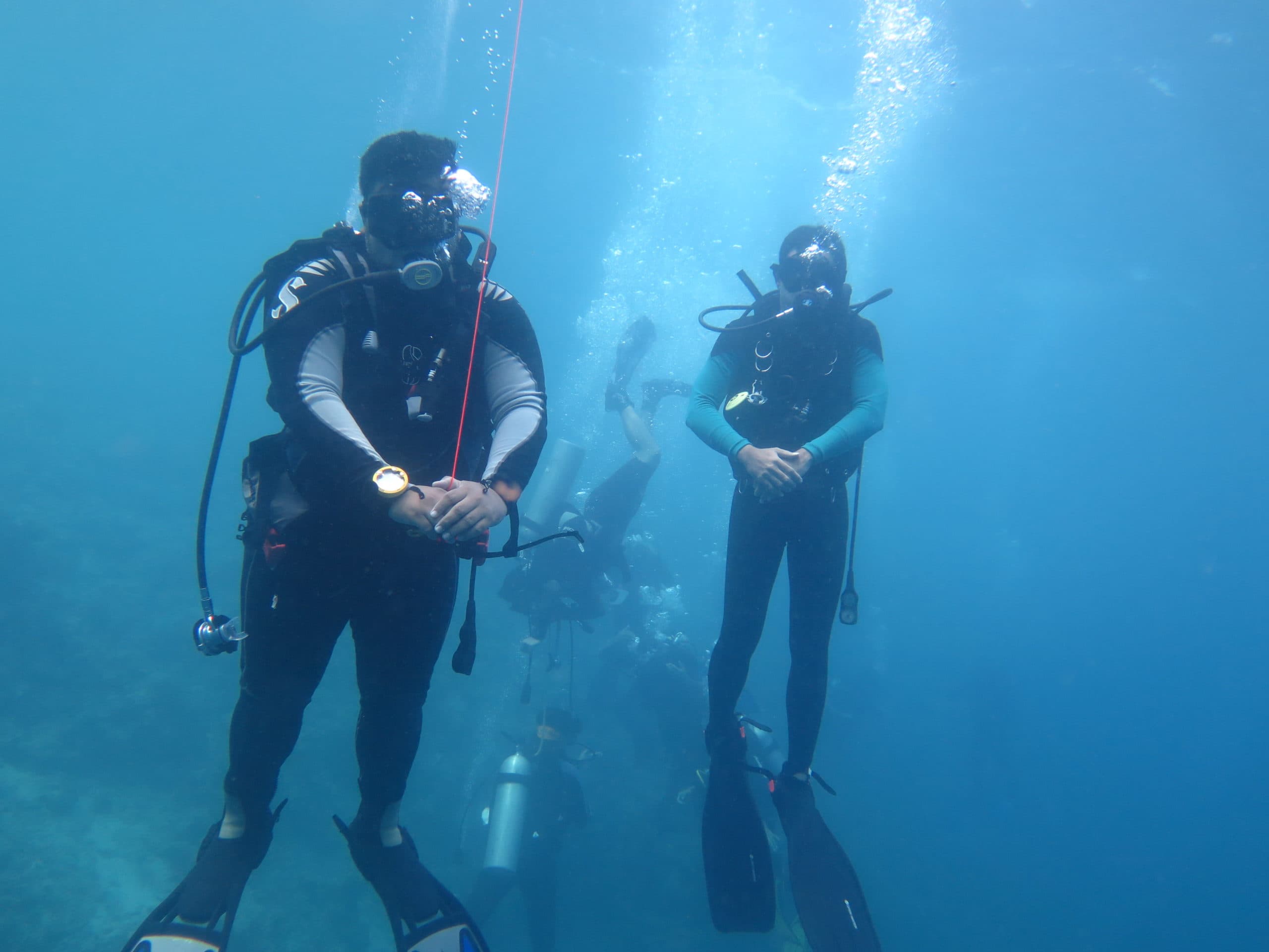 Ini 5 Alasan Memilih Prodi Ilmu dan Teknologi Kelautan IPB University